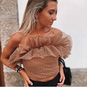 NWT blogger fave Zara tulle crop strapless top with polka dots